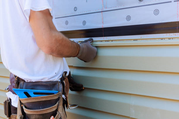 Affordable Storm Damage Siding Repair solutions in Farmington, MN